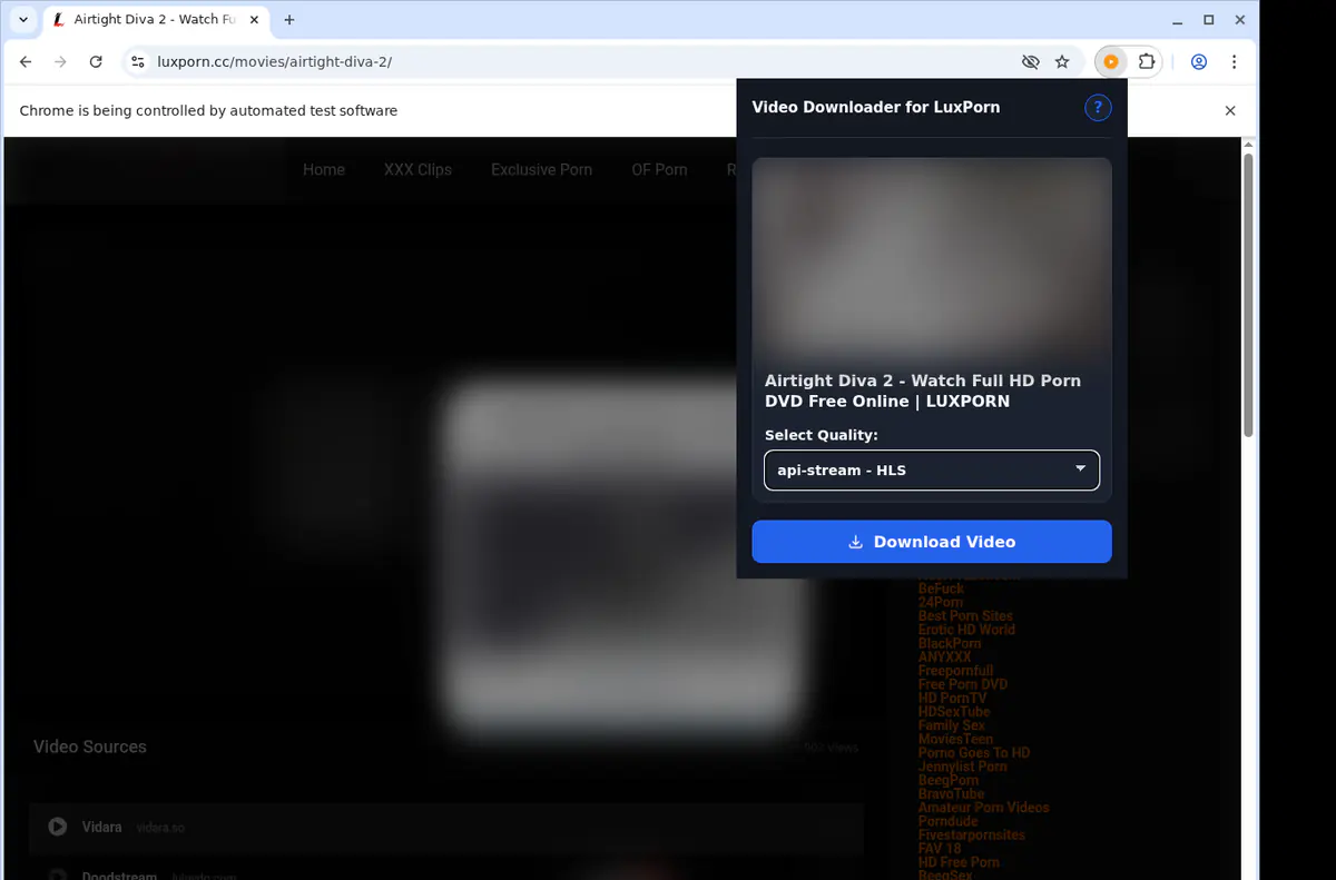 Luxporn Video Downloader browser extension screenshot 3